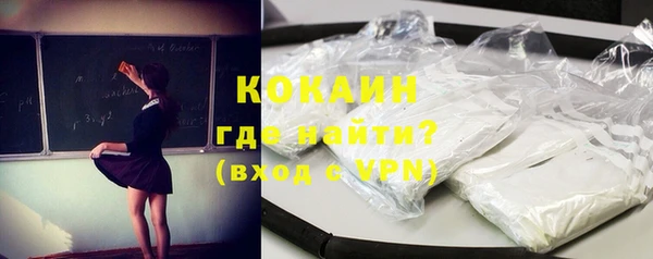 хмурый Верея