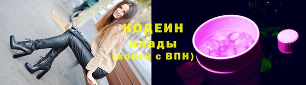 хмурый Верея