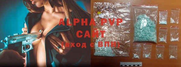 хмурый Верея